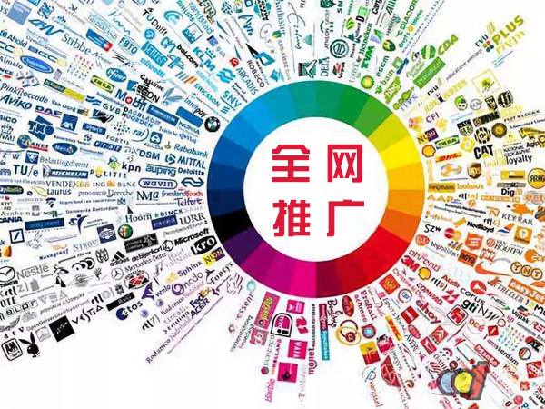 维西传统企业进行网络营销需要注意的几个基础策略